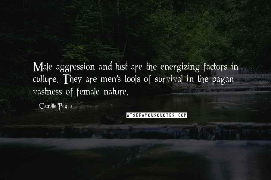 Camille Paglia Quotes: Male aggression and lust are the energizing factors in culture. They are men's tools of survival in the pagan vastness of female nature.