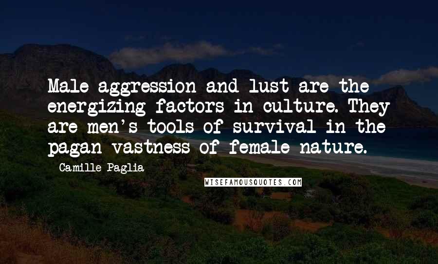 Camille Paglia Quotes: Male aggression and lust are the energizing factors in culture. They are men's tools of survival in the pagan vastness of female nature.