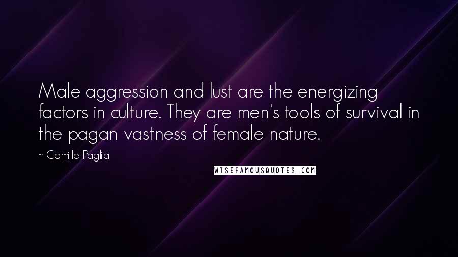 Camille Paglia Quotes: Male aggression and lust are the energizing factors in culture. They are men's tools of survival in the pagan vastness of female nature.