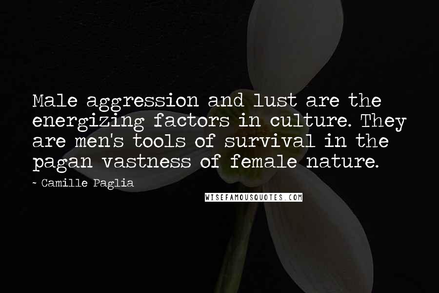 Camille Paglia Quotes: Male aggression and lust are the energizing factors in culture. They are men's tools of survival in the pagan vastness of female nature.