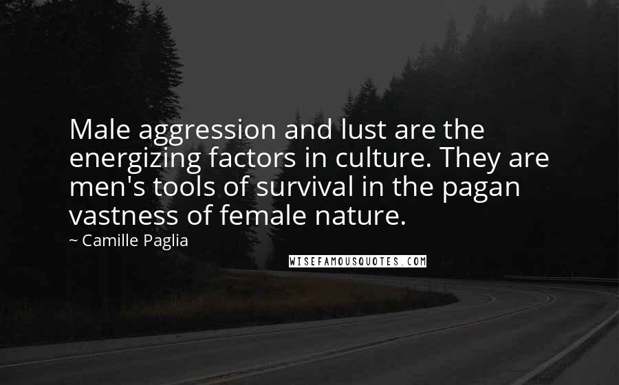 Camille Paglia Quotes: Male aggression and lust are the energizing factors in culture. They are men's tools of survival in the pagan vastness of female nature.