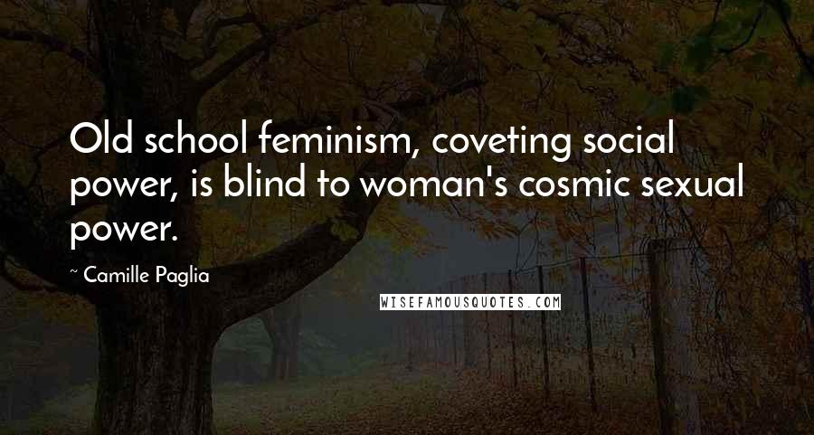 Camille Paglia Quotes: Old school feminism, coveting social power, is blind to woman's cosmic sexual power.