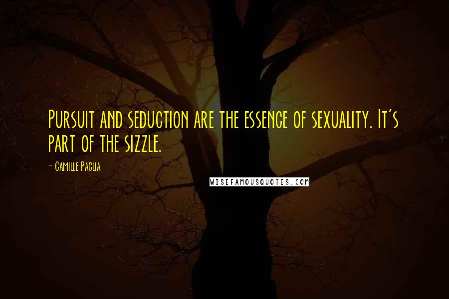 Camille Paglia Quotes: Pursuit and seduction are the essence of sexuality. It's part of the sizzle.