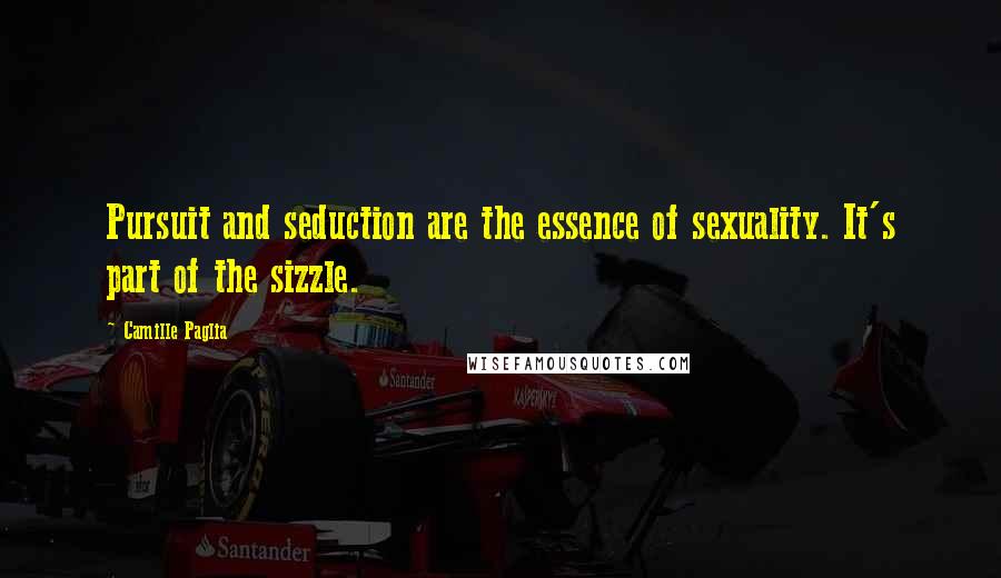 Camille Paglia Quotes: Pursuit and seduction are the essence of sexuality. It's part of the sizzle.