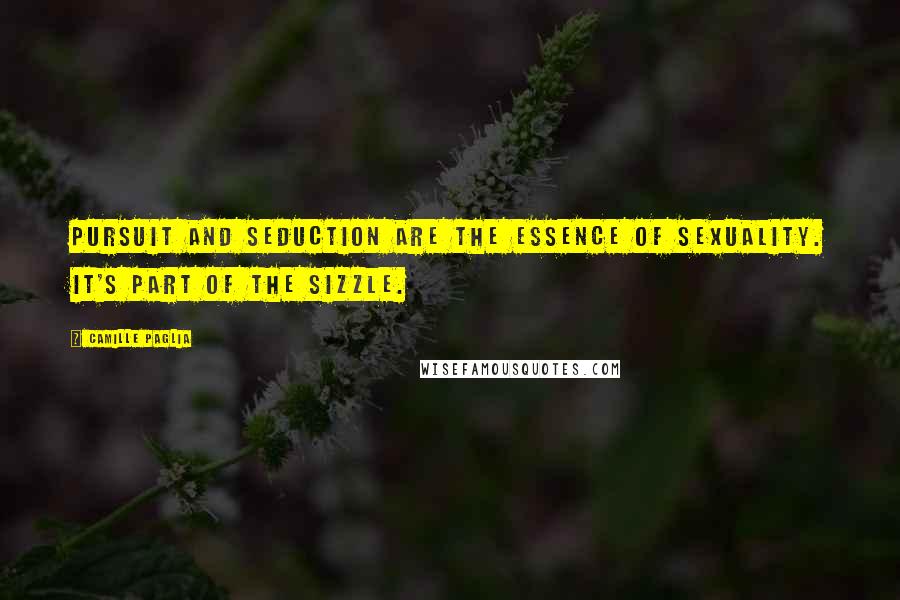 Camille Paglia Quotes: Pursuit and seduction are the essence of sexuality. It's part of the sizzle.