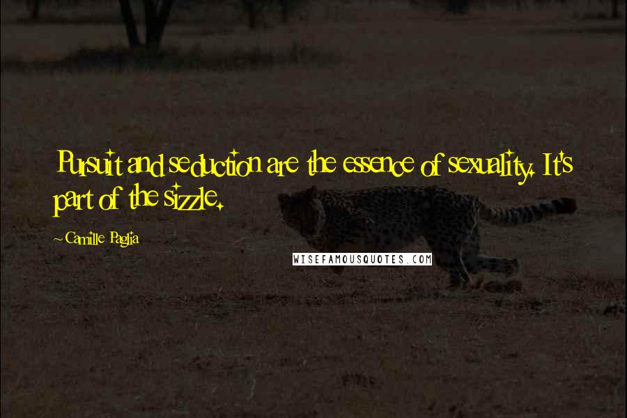 Camille Paglia Quotes: Pursuit and seduction are the essence of sexuality. It's part of the sizzle.