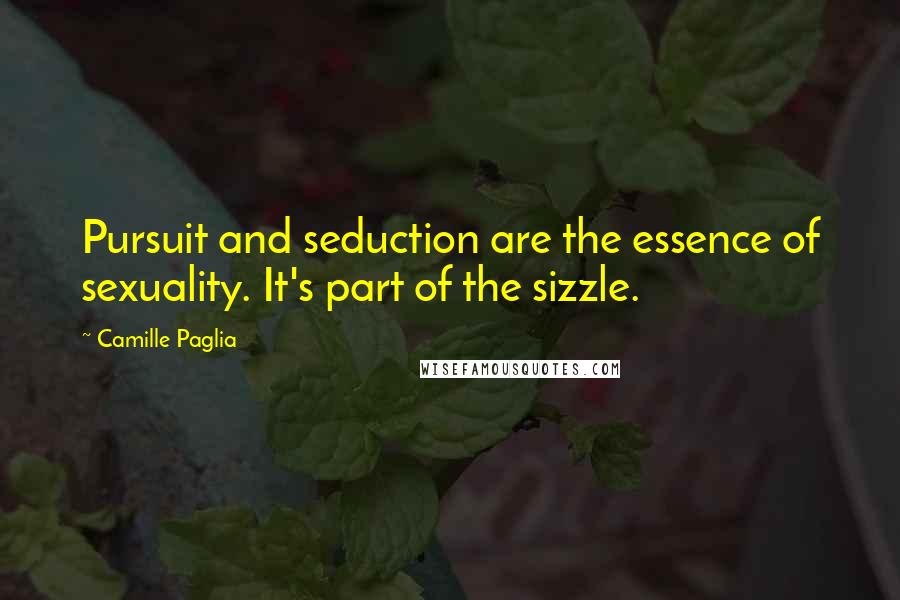 Camille Paglia Quotes: Pursuit and seduction are the essence of sexuality. It's part of the sizzle.
