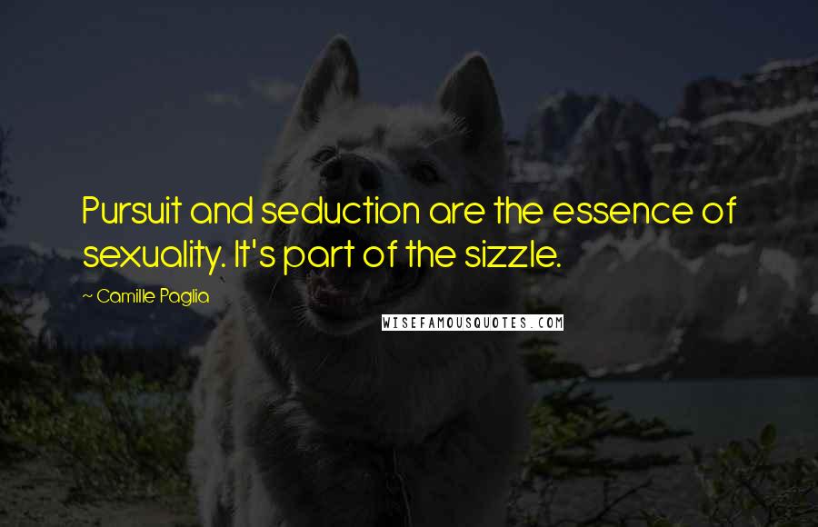 Camille Paglia Quotes: Pursuit and seduction are the essence of sexuality. It's part of the sizzle.