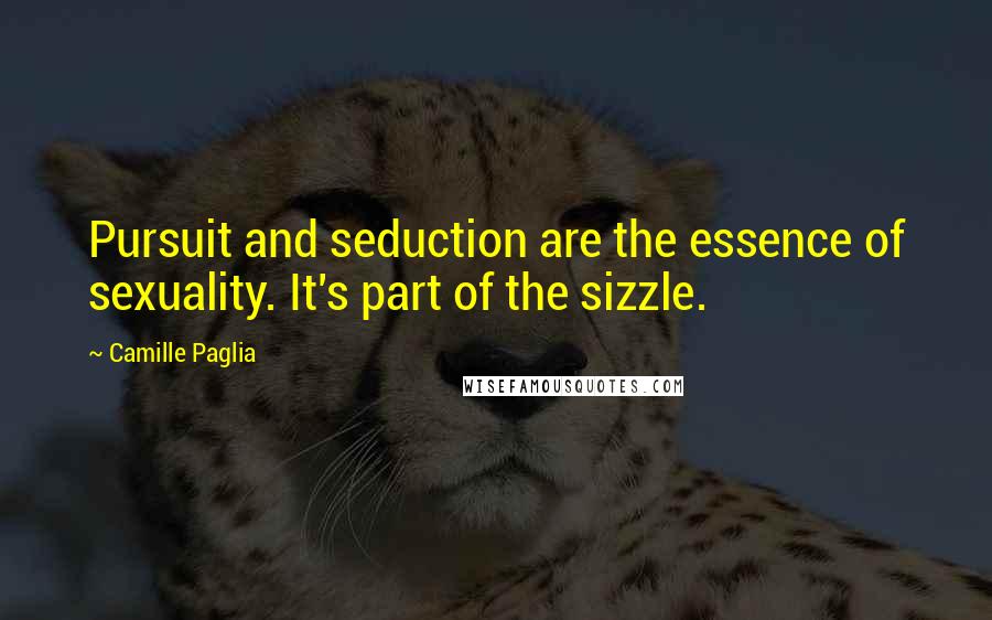 Camille Paglia Quotes: Pursuit and seduction are the essence of sexuality. It's part of the sizzle.