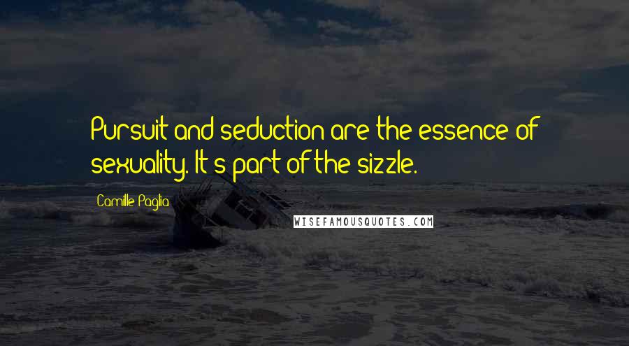 Camille Paglia Quotes: Pursuit and seduction are the essence of sexuality. It's part of the sizzle.