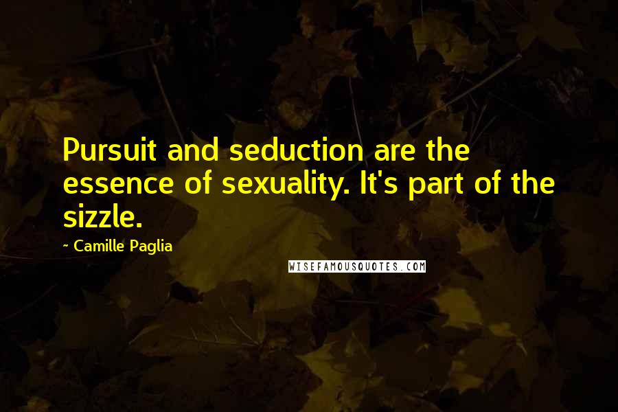 Camille Paglia Quotes: Pursuit and seduction are the essence of sexuality. It's part of the sizzle.