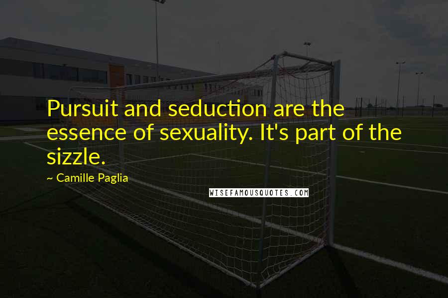 Camille Paglia Quotes: Pursuit and seduction are the essence of sexuality. It's part of the sizzle.
