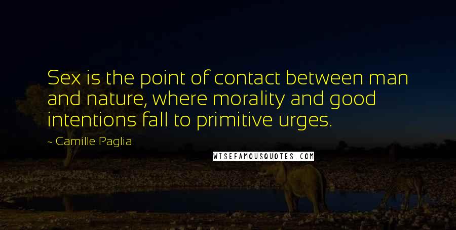 Camille Paglia Quotes: Sex is the point of contact between man and nature, where morality and good intentions fall to primitive urges.