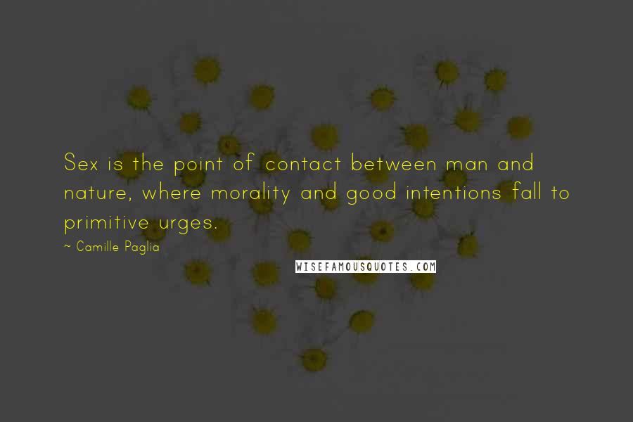 Camille Paglia Quotes: Sex is the point of contact between man and nature, where morality and good intentions fall to primitive urges.