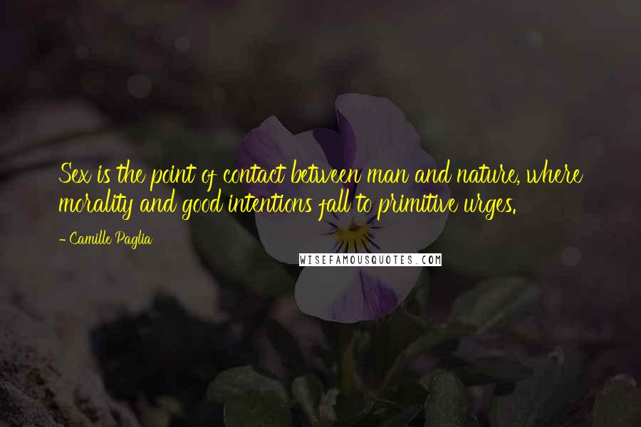 Camille Paglia Quotes: Sex is the point of contact between man and nature, where morality and good intentions fall to primitive urges.