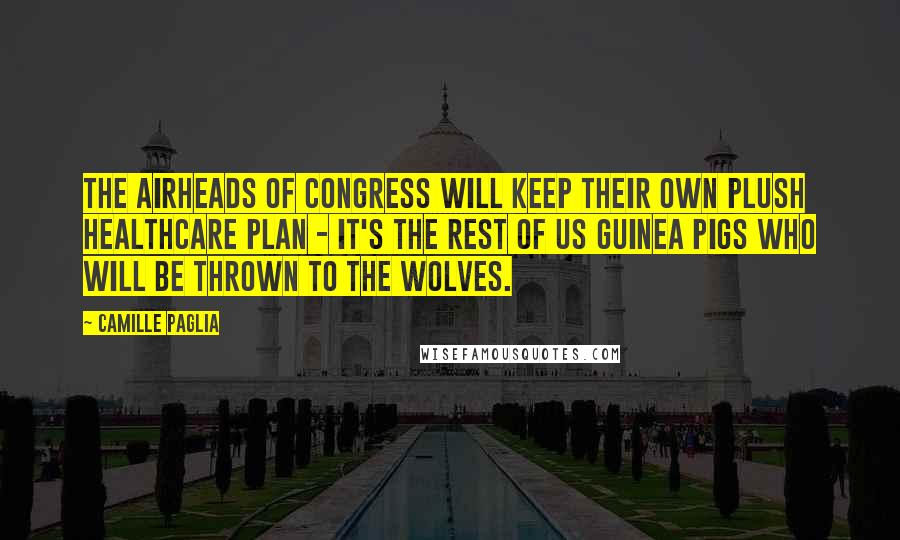 Camille Paglia Quotes: The airheads of Congress will keep their own plush healthcare plan - it's the rest of us guinea pigs who will be thrown to the wolves.