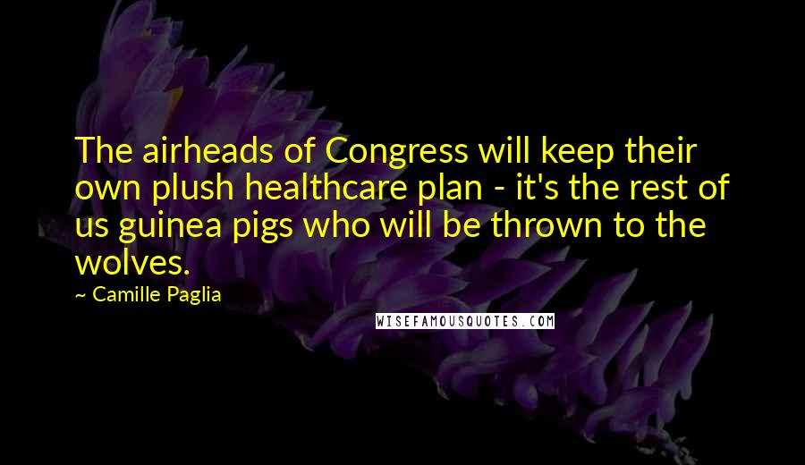 Camille Paglia Quotes: The airheads of Congress will keep their own plush healthcare plan - it's the rest of us guinea pigs who will be thrown to the wolves.