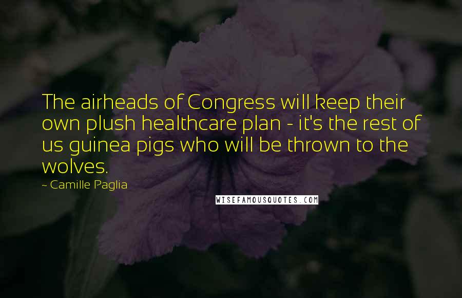 Camille Paglia Quotes: The airheads of Congress will keep their own plush healthcare plan - it's the rest of us guinea pigs who will be thrown to the wolves.