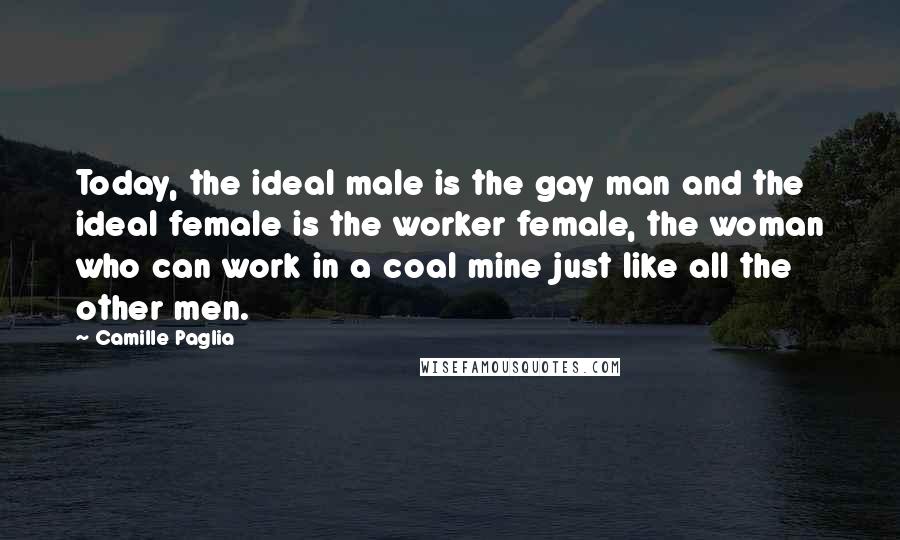 Camille Paglia Quotes: Today, the ideal male is the gay man and the ideal female is the worker female, the woman who can work in a coal mine just like all the other men.