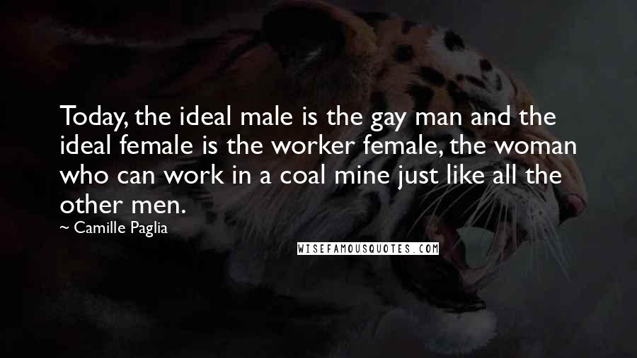 Camille Paglia Quotes: Today, the ideal male is the gay man and the ideal female is the worker female, the woman who can work in a coal mine just like all the other men.