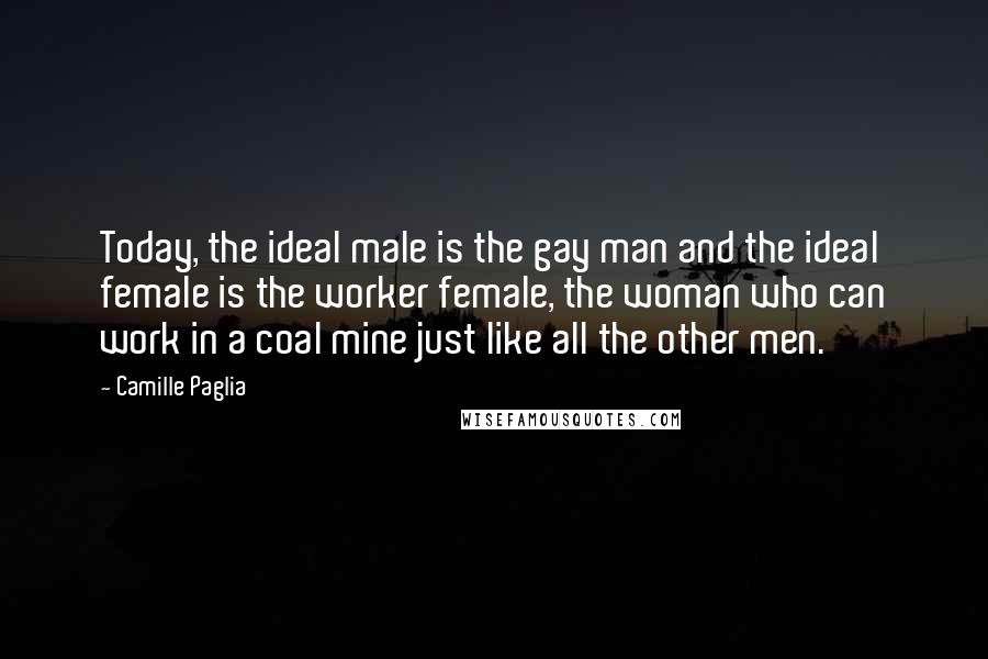 Camille Paglia Quotes: Today, the ideal male is the gay man and the ideal female is the worker female, the woman who can work in a coal mine just like all the other men.