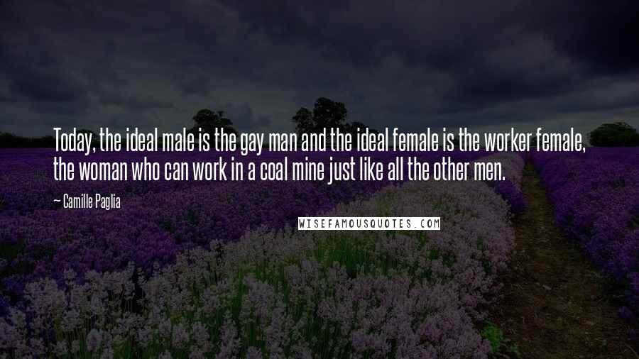 Camille Paglia Quotes: Today, the ideal male is the gay man and the ideal female is the worker female, the woman who can work in a coal mine just like all the other men.