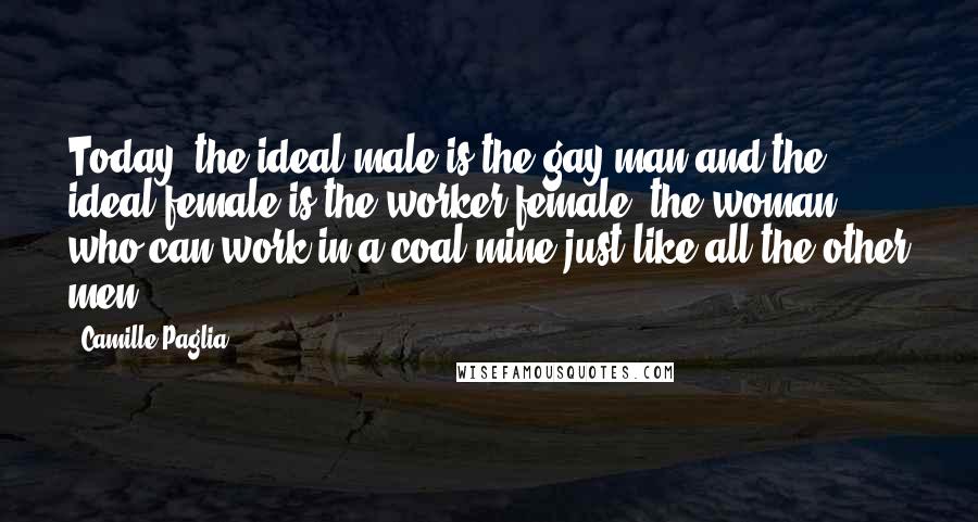 Camille Paglia Quotes: Today, the ideal male is the gay man and the ideal female is the worker female, the woman who can work in a coal mine just like all the other men.