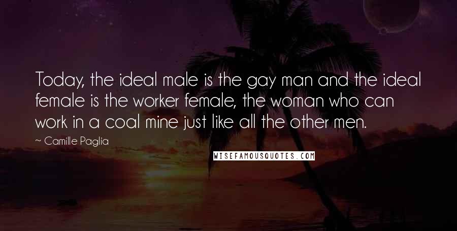 Camille Paglia Quotes: Today, the ideal male is the gay man and the ideal female is the worker female, the woman who can work in a coal mine just like all the other men.