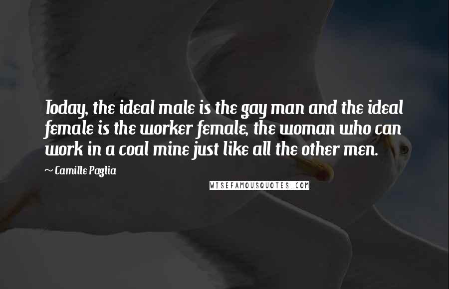 Camille Paglia Quotes: Today, the ideal male is the gay man and the ideal female is the worker female, the woman who can work in a coal mine just like all the other men.