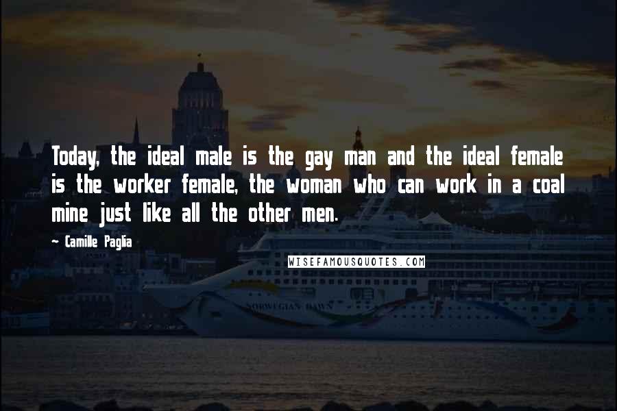 Camille Paglia Quotes: Today, the ideal male is the gay man and the ideal female is the worker female, the woman who can work in a coal mine just like all the other men.