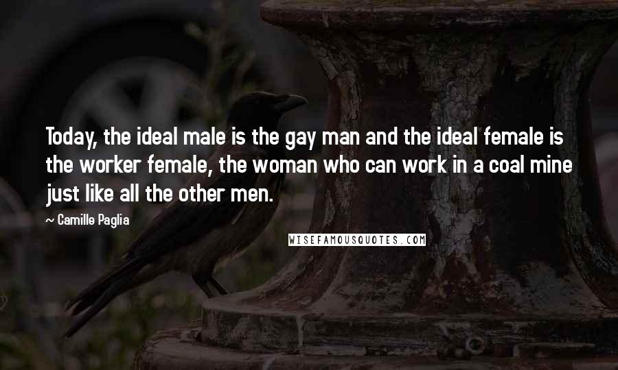 Camille Paglia Quotes: Today, the ideal male is the gay man and the ideal female is the worker female, the woman who can work in a coal mine just like all the other men.