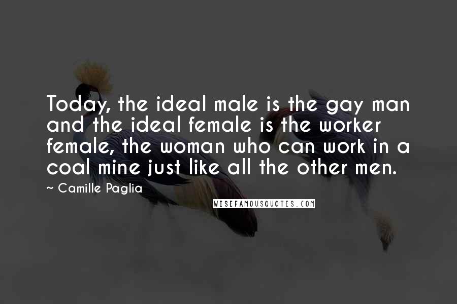 Camille Paglia Quotes: Today, the ideal male is the gay man and the ideal female is the worker female, the woman who can work in a coal mine just like all the other men.