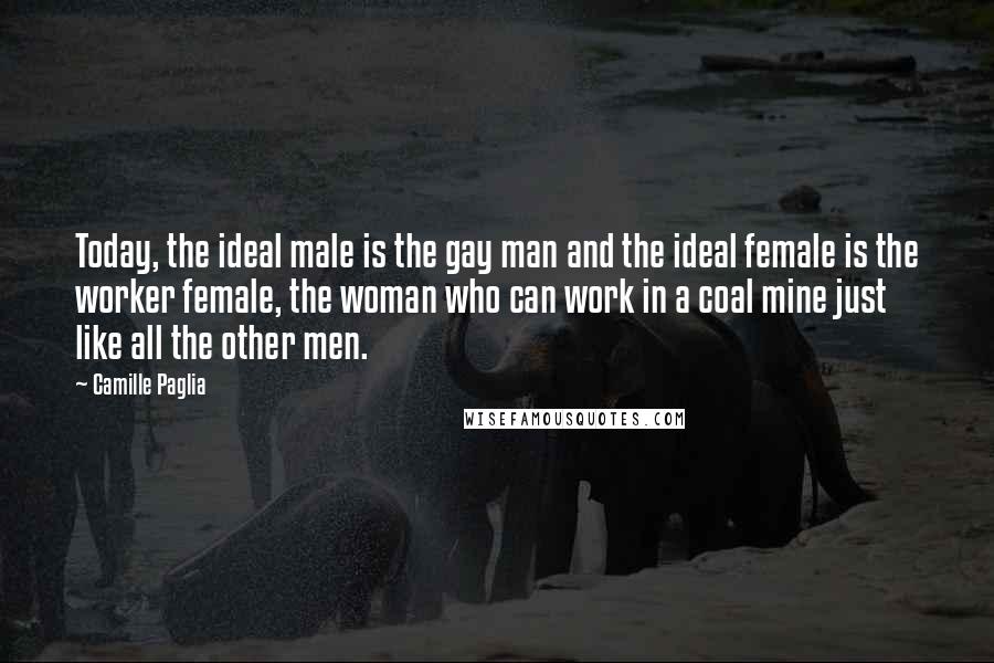 Camille Paglia Quotes: Today, the ideal male is the gay man and the ideal female is the worker female, the woman who can work in a coal mine just like all the other men.