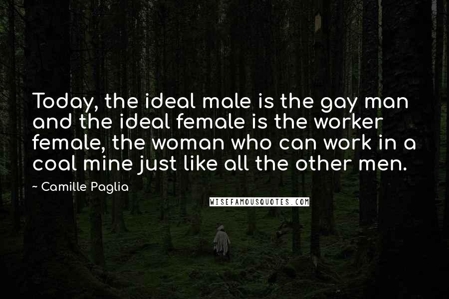 Camille Paglia Quotes: Today, the ideal male is the gay man and the ideal female is the worker female, the woman who can work in a coal mine just like all the other men.