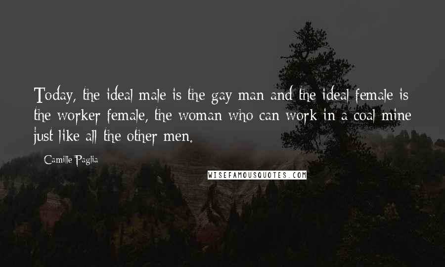 Camille Paglia Quotes: Today, the ideal male is the gay man and the ideal female is the worker female, the woman who can work in a coal mine just like all the other men.