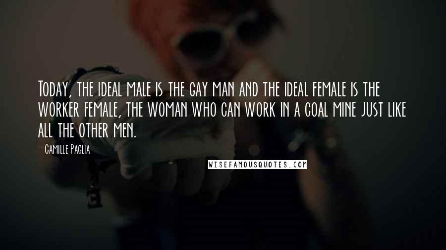 Camille Paglia Quotes: Today, the ideal male is the gay man and the ideal female is the worker female, the woman who can work in a coal mine just like all the other men.