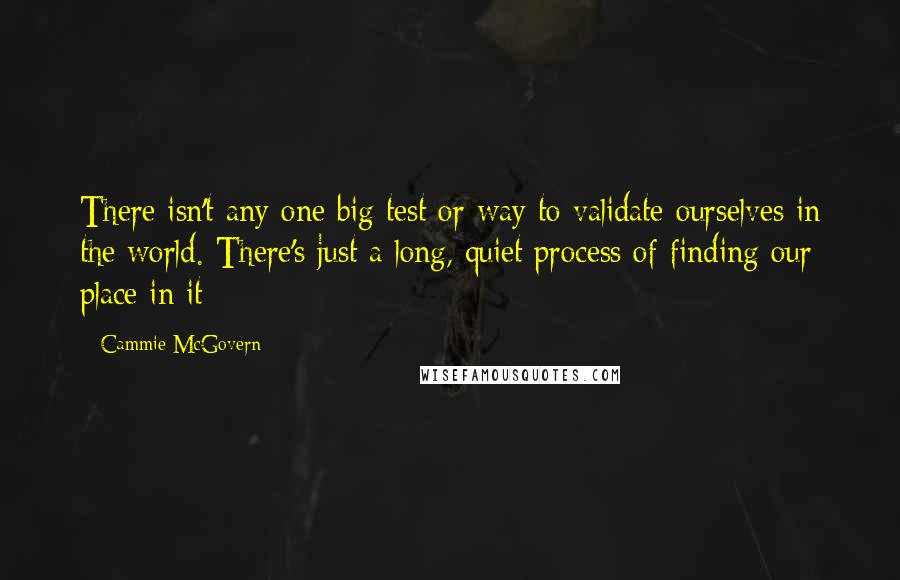 Cammie McGovern Quotes: There isn't any one big test or way to validate ourselves in the world. There's just a long, quiet process of finding our place in it