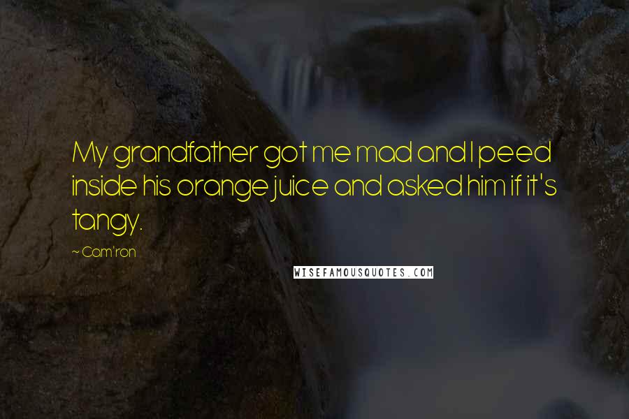 Cam'ron Quotes: My grandfather got me mad and I peed inside his orange juice and asked him if it's tangy.