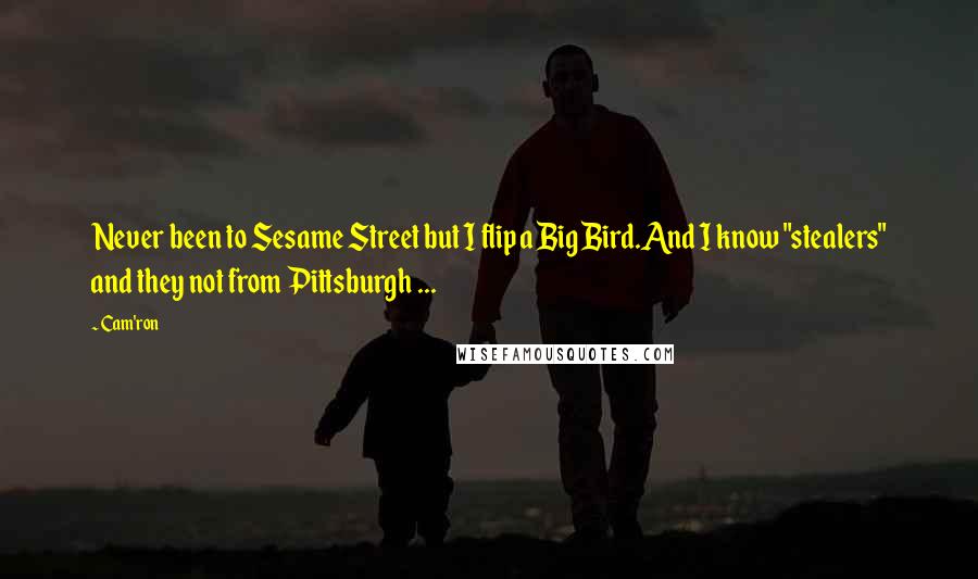 Cam'ron Quotes: Never been to Sesame Street but I flip a Big Bird.And I know "stealers" and they not from Pittsburgh ...