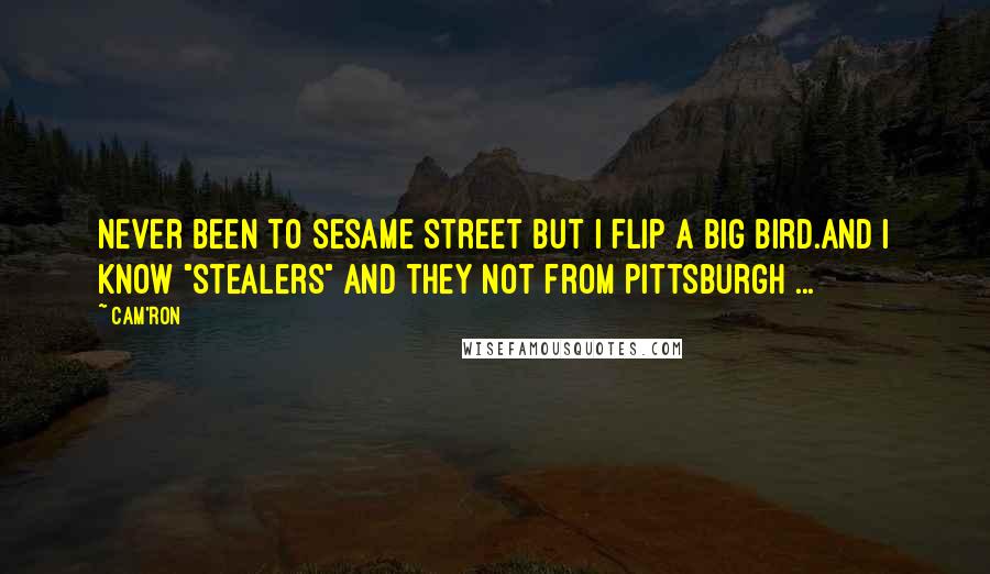 Cam'ron Quotes: Never been to Sesame Street but I flip a Big Bird.And I know "stealers" and they not from Pittsburgh ...