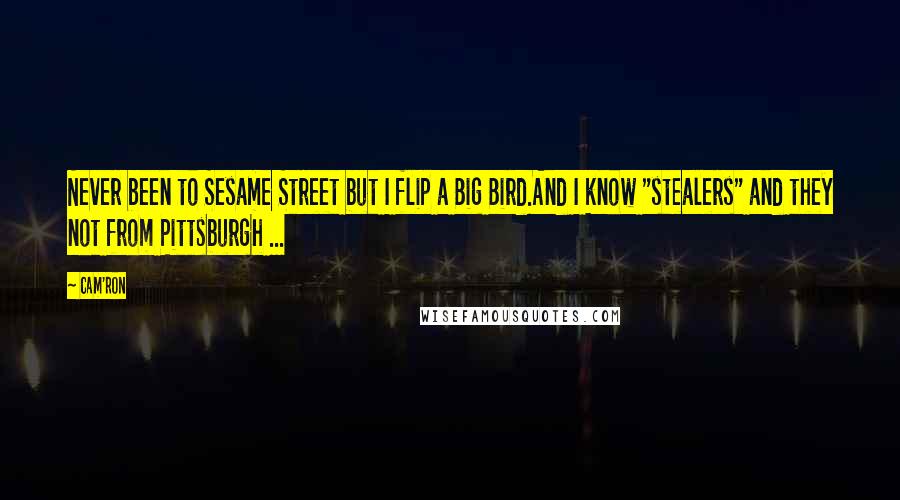 Cam'ron Quotes: Never been to Sesame Street but I flip a Big Bird.And I know "stealers" and they not from Pittsburgh ...