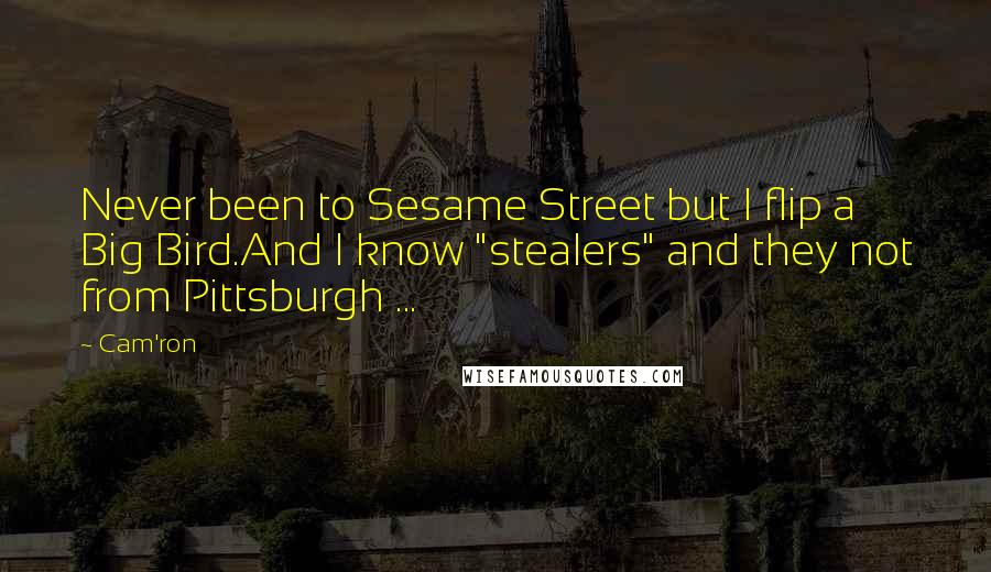 Cam'ron Quotes: Never been to Sesame Street but I flip a Big Bird.And I know "stealers" and they not from Pittsburgh ...