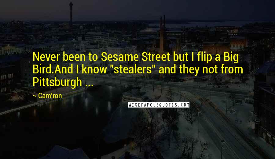 Cam'ron Quotes: Never been to Sesame Street but I flip a Big Bird.And I know "stealers" and they not from Pittsburgh ...