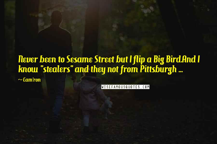 Cam'ron Quotes: Never been to Sesame Street but I flip a Big Bird.And I know "stealers" and they not from Pittsburgh ...
