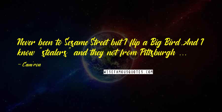 Cam'ron Quotes: Never been to Sesame Street but I flip a Big Bird.And I know "stealers" and they not from Pittsburgh ...