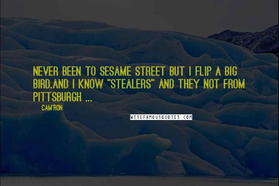 Cam'ron Quotes: Never been to Sesame Street but I flip a Big Bird.And I know "stealers" and they not from Pittsburgh ...