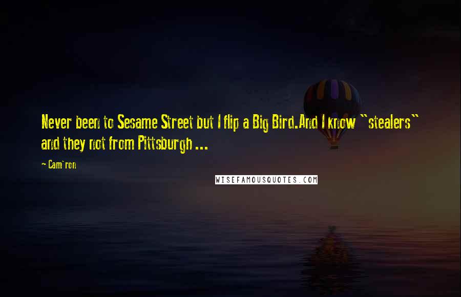 Cam'ron Quotes: Never been to Sesame Street but I flip a Big Bird.And I know "stealers" and they not from Pittsburgh ...