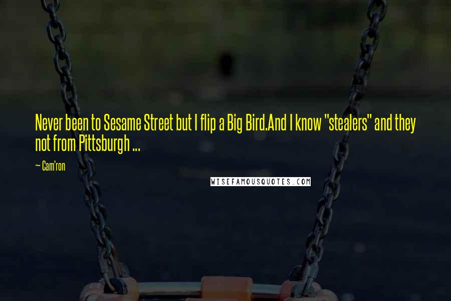 Cam'ron Quotes: Never been to Sesame Street but I flip a Big Bird.And I know "stealers" and they not from Pittsburgh ...