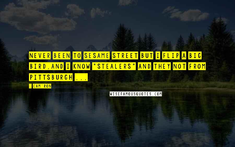 Cam'ron Quotes: Never been to Sesame Street but I flip a Big Bird.And I know "stealers" and they not from Pittsburgh ...