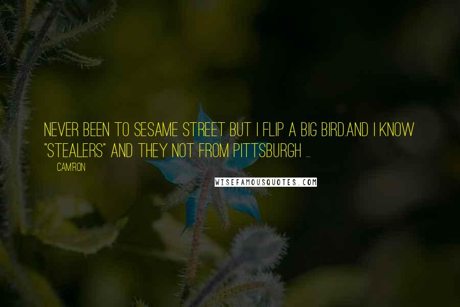 Cam'ron Quotes: Never been to Sesame Street but I flip a Big Bird.And I know "stealers" and they not from Pittsburgh ...